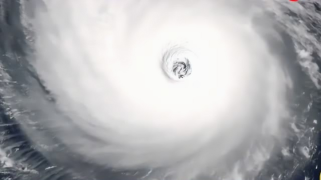 2024年12月 第985頁(yè)