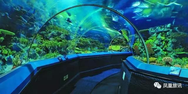 深海水族館最新版本下載,深海水族館最新版本下載攻略及體驗分享