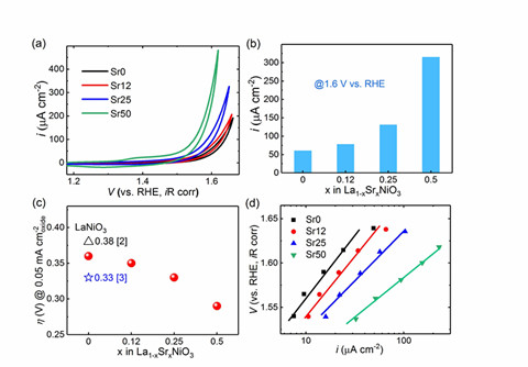 nidiri最新,Nidiri的最新發(fā)展，探索前沿科技與環(huán)保理念