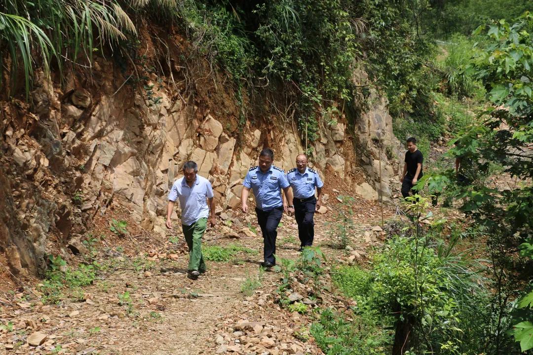 最新銅鼓新聞,最新銅鼓新聞，銅鼓縣的新發(fā)展動態(tài)與社會熱點(diǎn)