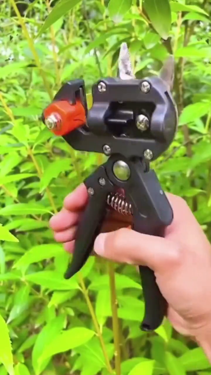 最新嫁接工具,最新嫁接工具，革新農(nóng)業(yè)技術的關鍵力量