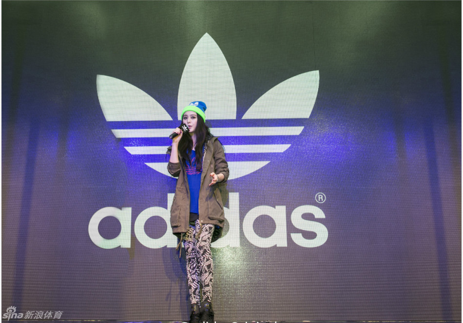 王中王493333中特1肖,探索王中王493333中特1肖的魅力與奧秘