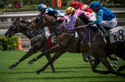 香港2024最準(zhǔn)馬資料免費(fèi),香港2024年最準(zhǔn)馬資料免費(fèi)，探索賽馬運(yùn)動(dòng)的魅力與未來(lái)趨勢(shì)