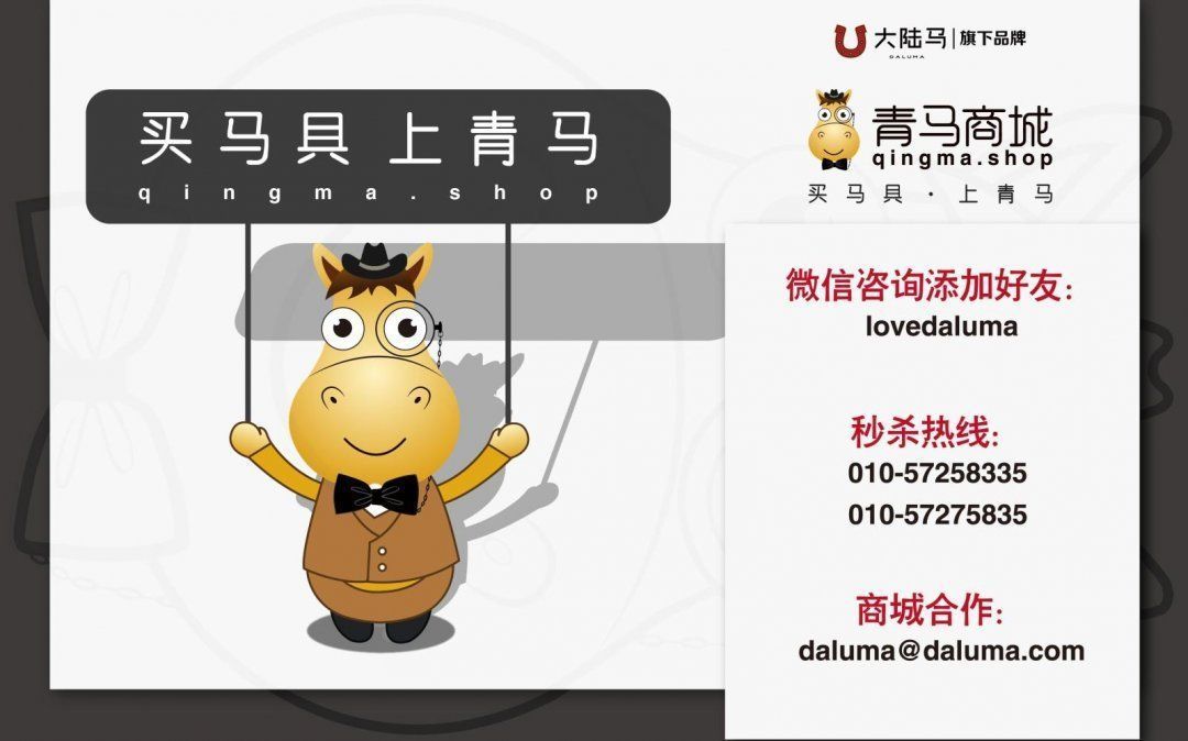 2024今晚香港開特馬開什么,探索香港賽馬文化，2024今晚特馬賽事展望