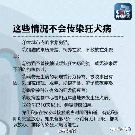 緣木求魚 第10頁