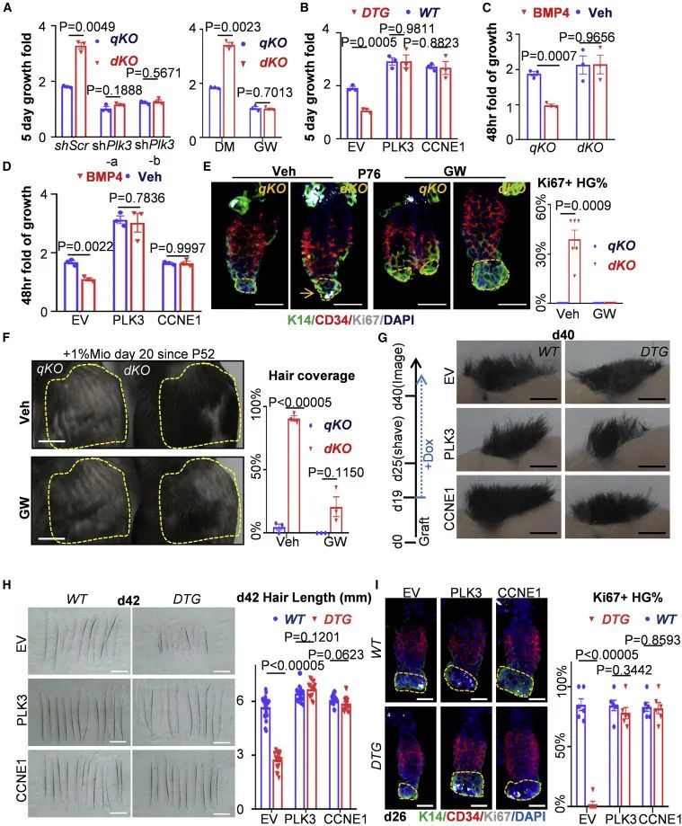 新澳門三期必開一期,新澳門三期必開一期，揭示背后的犯罪風(fēng)險(xiǎn)與挑戰(zhàn)