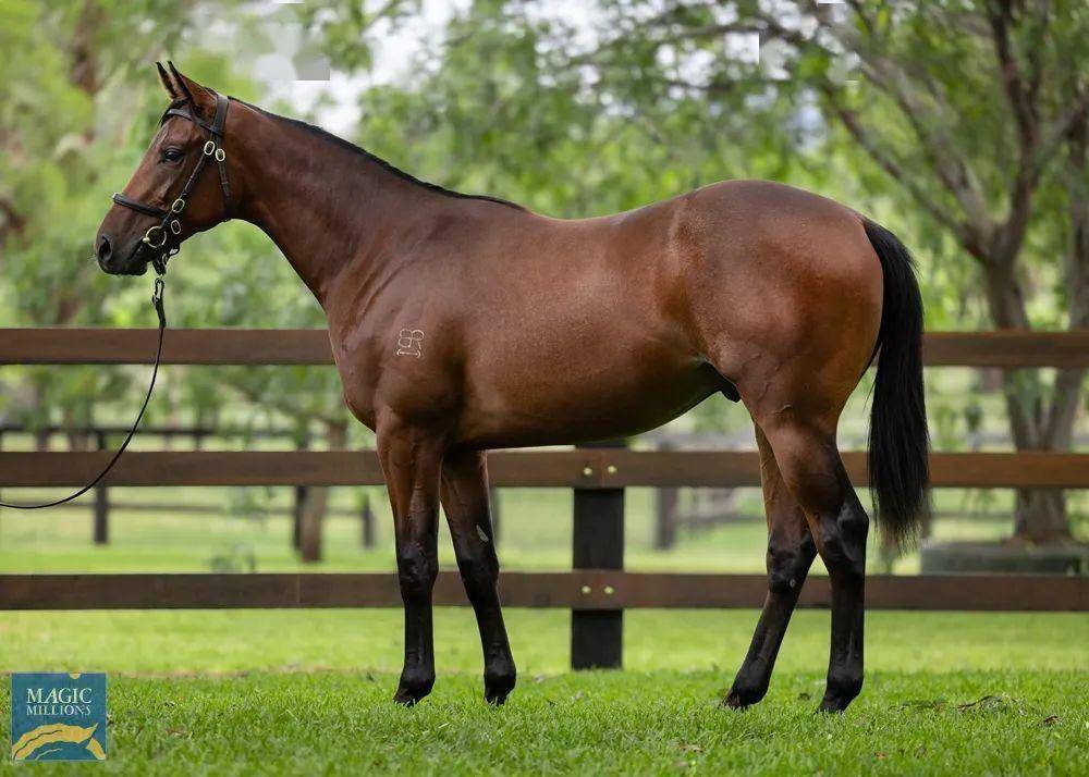 香港馬資料更新最快的,香港馬資料更新最快的來(lái)源與運(yùn)用