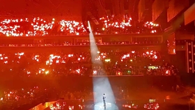 今晚上澳門特馬必中一肖,今晚上澳門特馬必中一肖——探索幸運之門的秘密