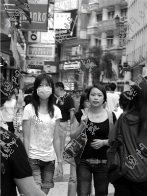 新澳門全年免費料,新澳門全年免費料，探索與揭秘