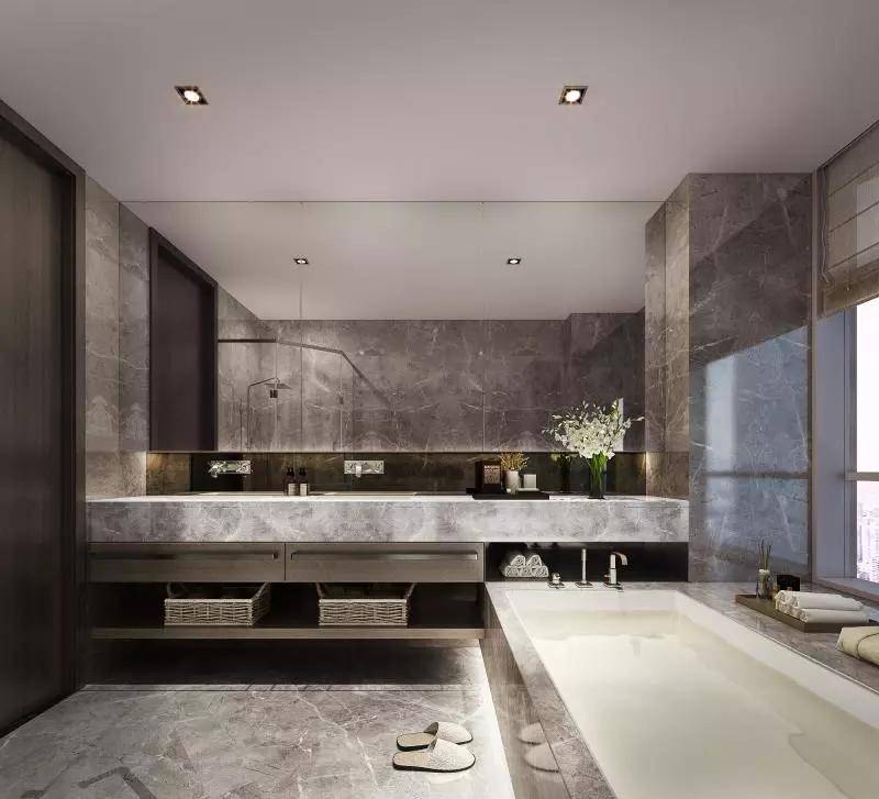 新澳特今天最新資料,新澳特最新資料深度解析