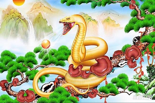 今天晚上澳門三肖兔羊蛇,澳門今晚三肖兔羊蛇的奇妙緣分與神秘魅力