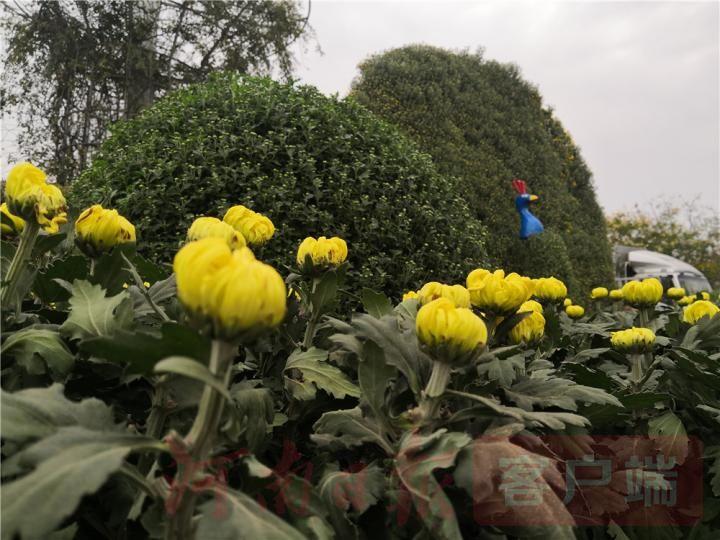 新奧精準(zhǔn)免費(fèi)獎(jiǎng)料提供,新奧精準(zhǔn)免費(fèi)獎(jiǎng)料提供的優(yōu)勢(shì)與價(jià)值