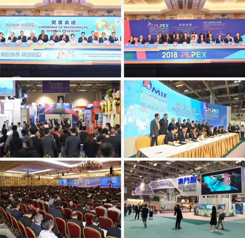 澳門版全年免費(fèi)大全,澳門版全年免費(fèi)大全，探索多元文化融合的精彩世界