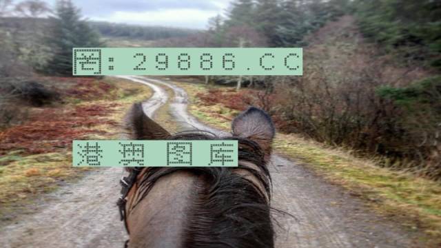 7777788888精準(zhǔn)跑狗圖正版,探索正版精準(zhǔn)跑狗圖，77777與88888的神秘魅力