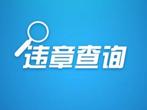 香港最快最精準(zhǔn)免費(fèi)資料,香港最快最精準(zhǔn)的免費(fèi)資料，探索信息的豐富海洋