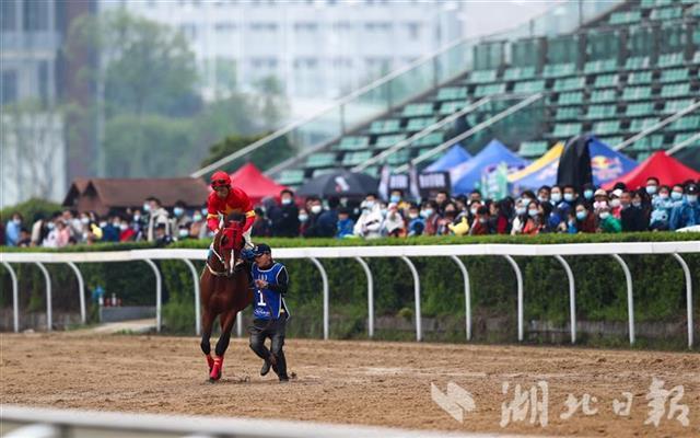 喜笑顏開 第3頁