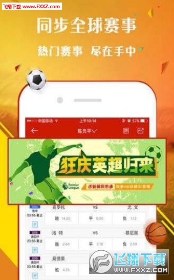 王中王一肖一中一特一中,王中王一肖一中一特一中，探尋卓越之路