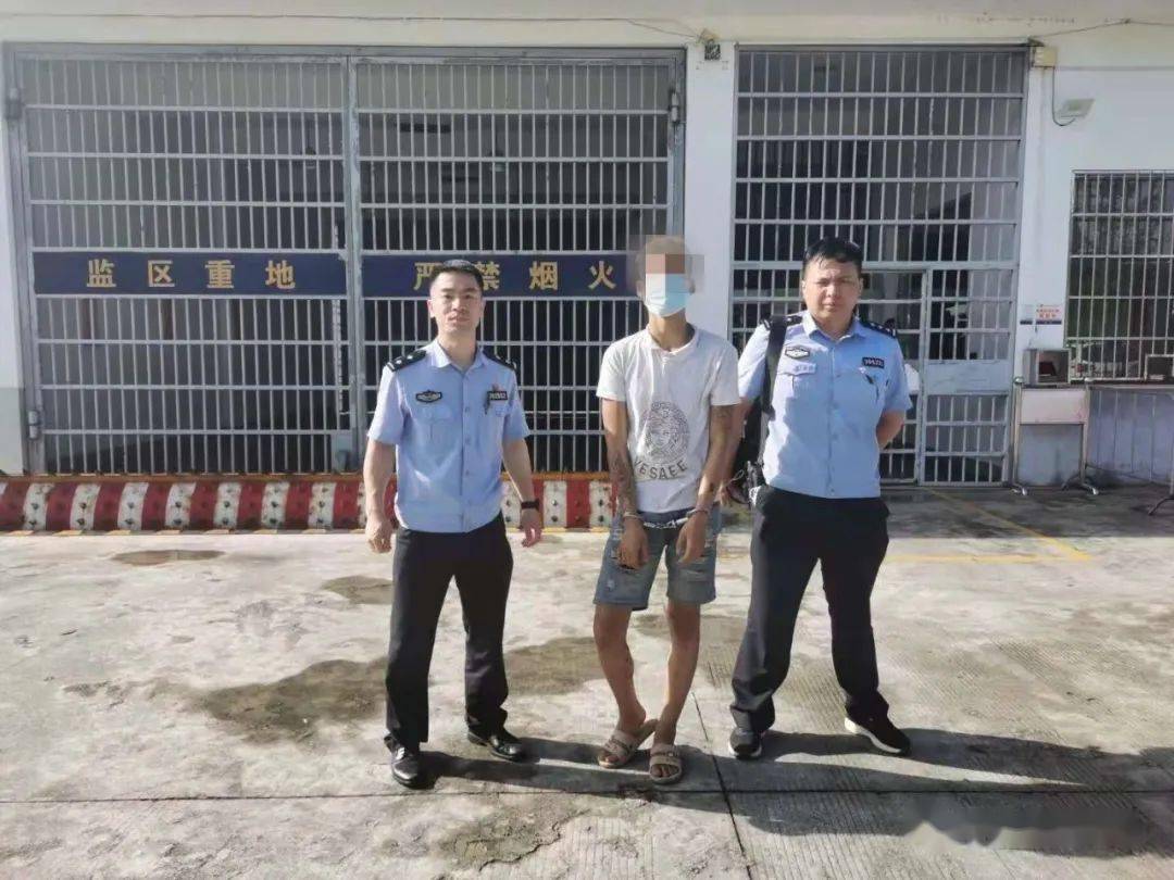 2025年新跑狗圖最新版跑狗圖,探索未來(lái)跑狗圖，2025年新跑狗圖最新版解析