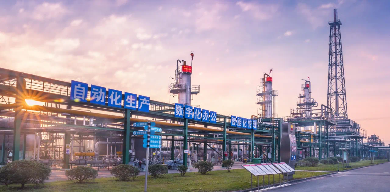 澳門一肖一碼一一特一中廠,澳門一肖一碼一一特一中廠，探索與解析