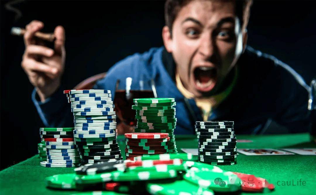 新澳門正版資料大全精準,新澳門正版資料大全精準，探索與解讀