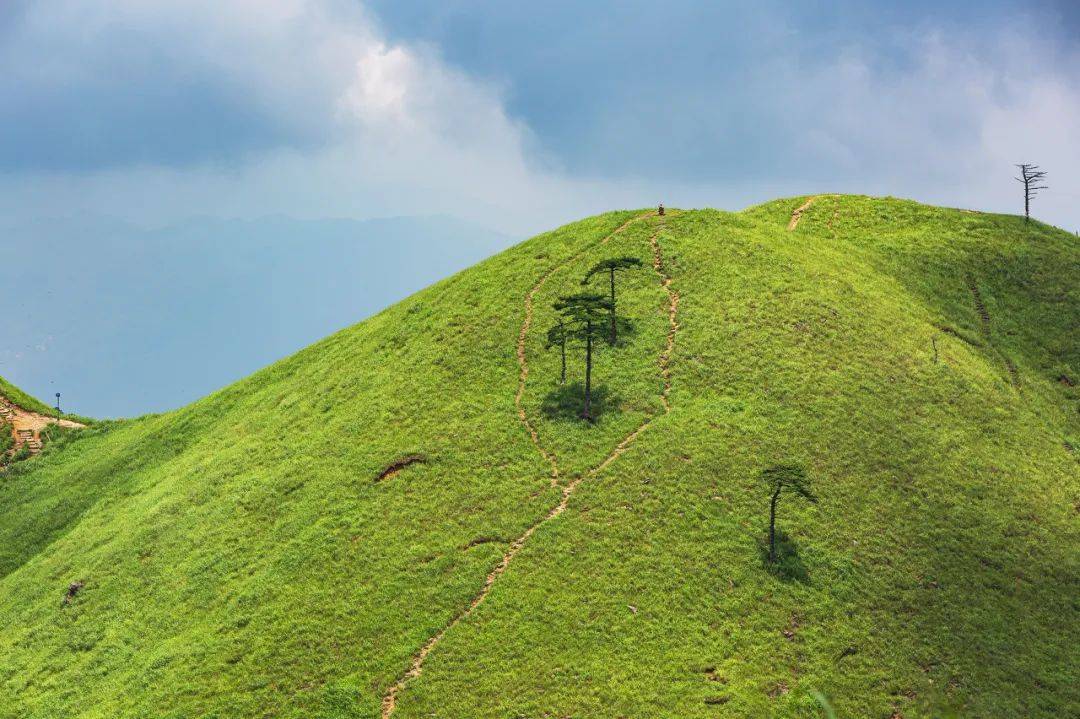 澳門(mén)一碼一肖一待一中今晚082期 16-25-29-32-45-47X：37,澳門(mén)一碼一肖一待一中與犯罪問(wèn)題的探討