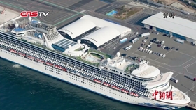 新奧內(nèi)部最準(zhǔn)資料054期 19-23-31-38-43-45L：40,新奧內(nèi)部最準(zhǔn)資料054期詳解，揭秘?cái)?shù)字背后的秘密故事