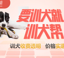 7777788888管家婆狗082期 16-25-29-32-45-47X：37,探索數(shù)字世界的奧秘，關(guān)于數(shù)字彩票的奇幻之旅