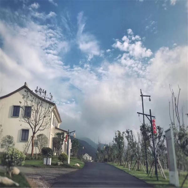 今晚必開一肖最準(zhǔn)生肖039期 04-06-24-31-41-49J：16,今晚必開一肖最準(zhǔn)生肖039期 04-06-24-31-41-49J，16