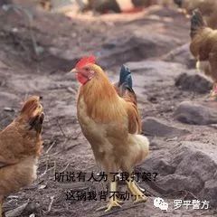 2025新澳今晚資料雞號(hào)幾號(hào)財(cái)安126期 07-29-34-41-44-48W：32,探索未來(lái)財(cái)富之路，新澳今晚資料雞號(hào)與財(cái)安策略揭秘